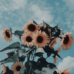 Meet your Posher, Kylee